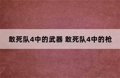 敢死队4中的武器 敢死队4中的枪